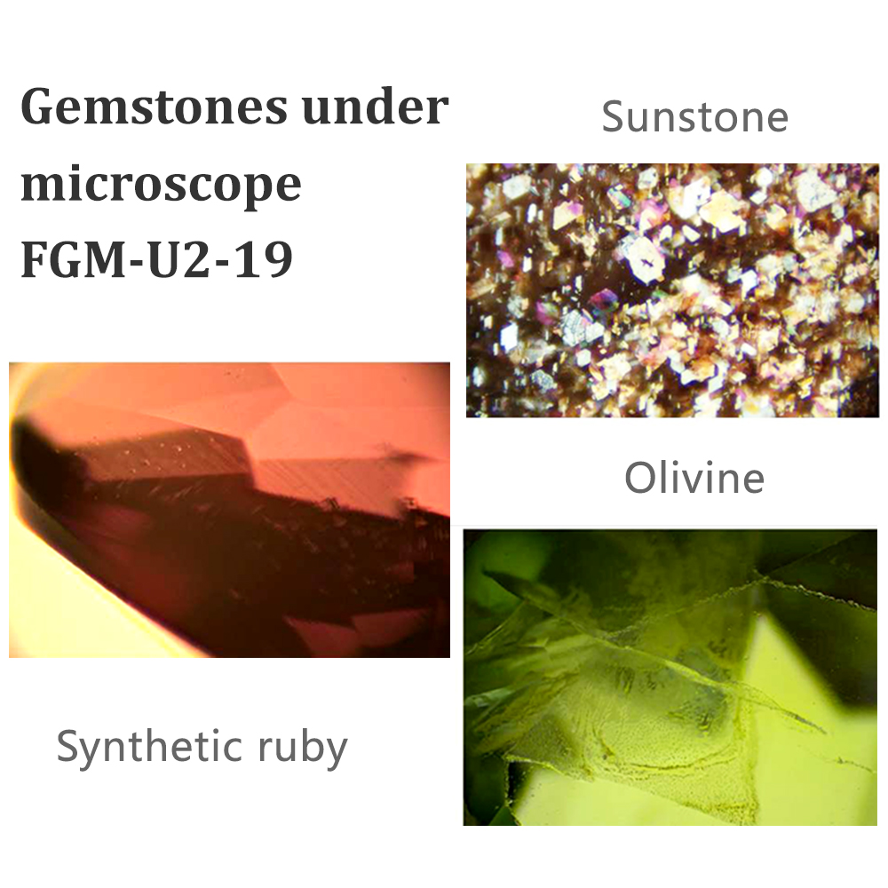 FGM-U2-19-4.jpg